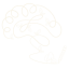 Neuropaisajismo